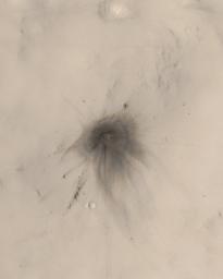 NASA's Mars Global Surveyor shows wispy dark rays and dark, annular (nearly-circular) zones surround the crater, while several chains of dark spots formed by secondary impact radiate away for hundreds of meters from the tiny crater on Mars.