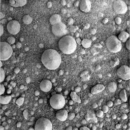 This image from NASA's Mars Exploration Rover Opportunity shows spherules, nicknamed 'blueberries,' at its landing site in 'Eagle Crater,' determined to be iron-rich concretions that formed inside deposits soaked with groundwater.
