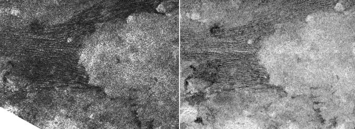 This pair of images, taken by NASA's Cassini spacecraft radar mapper on two different Titan passes on Dec. 11, 2006 (T21 left), and Oct. 29, 2005 (T8 right), represent two different views of a field of dunes.