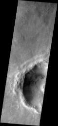 This image from NASA's Mars Odyssey spacecraft shows gullies dissecting the crater rim and dunes cover part of the floor of the unnamed crater east of Russell Crater.