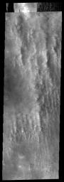 This image from NASA's Mars Odyssey spacecraft shows vertical features that look like long puffy streamers on Mars which are actually clouds at the margin of a large dust storm.