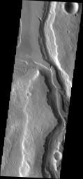 This image from NASA's Mars Odyssey spacecraft shows part of the Mangala Vallis channel system on Mars.