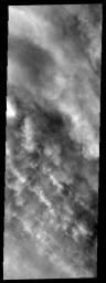 This image from NASA's Mars Odyssey spacecraft shows the tops of clouds of dust in a storm located southwest of the large Hellas basin.