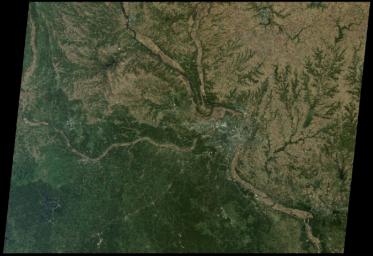 St. Louis, Missouri is tucked in a bend of the Mississippi River, just south of the point at which the Illinois River joins the larger Mississippi as seen by NASA's Terra spacecraft on October 15, 2005.