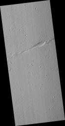 Faulting in Amazonis Planitia