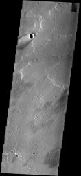 This image from NASA's Mars Odyssey spacecraft shows a crater and windstreak located on lava flows from Arsia Mons. The bright center of the windstreak is where dust has been deposited in the shadow of the crater rim.