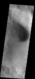 This image from NASA's Mars Odyssey spacecraft shows dune field located in a small unnamed crater of the western edge of the Argyre Basin.
