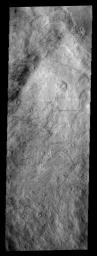This image from NASA's Mars Odyssey spacecraft shows dust devil tracks located in Malea Planum.