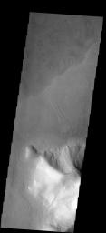 This image from NASA's Mars Odyssey spacecraft shows Euripus Mons, a hill surrounded by debris flow. Euripus Mons is located just east of Hellas Basin, in a region where most of the hills are shedding material and forming debris flows.