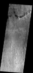 This image from NASA's Mars Odyssey spacecraft shows short, dark dust devil tracks located in Argyre Basin.