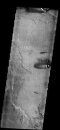 This image from NASA's Mars Odyssey spacecraft shows windstreaks located on lava flows from Arsia Mons on Mars.