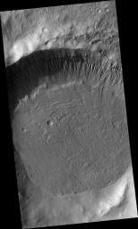 Gullies and Ice-rich Material