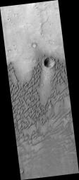 Dunes in Herschel Crater
