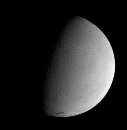 The leading hemisphere of Enceladus displays a remarkably fresh-looking surface in this recent view from NASA's Cassini spacecraft. At this resolution, only a few craters can be made out in this wrinkled region of the geologically active moon's surface.