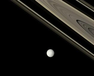 Saturn's dark-side rings glow in shades of brown and gold, contrasting with the more neutral appearance of the icy moon Tethys. This view was acquired with NASA's Cassini spacecraft's narrow-angle camera on Oct. 29, 2007.