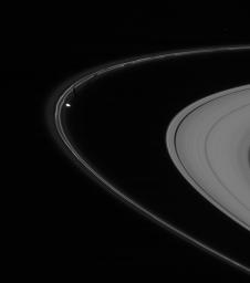 NASA's Cassini spacecraft caught Prometheus in the act of pulling a new streamer out of the F ring's inner edge in this image captured on Nov. 14, 2007.