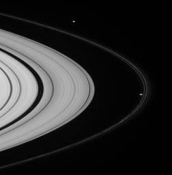 Prometheus and Pandora, Saturn's F-ring shepherd moons are seen in this view from NASA's Cassini spacecraft taken on Dec. 6, 2007, which also features narrow ringlets in the Encke gap at left.