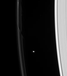On Jan. 1, 2008, NASA's Cassini spacecraft viewed two dark gores in Saturn's F ring demonstrate the gravitational influence of the shepherd moon Prometheus. 