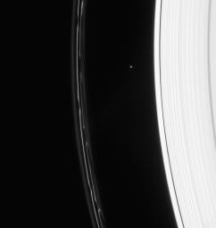 Saturn's F ring displays magnificent structure following the passage of Prometheus. Atlas is seen between the A and F rings, above center in this image captured by NASA's Cassini spacecraft on Jan. 23, 2008.