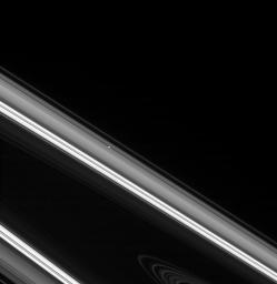 Pan sits nestled in its gap, like a beacon on the far side of Saturn's rings. The especially bright region seen here is the Cassini Division. This image taken by NASA's Cassini spacecraft on Mar. 4, 2008.