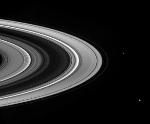 On Mar. 17, 2008, NASA's Cassini spacecraft captured a fleet of small moons patrols the outskirts of Saturn's icy rings. Shown here are shepherd moon Prometheus, Pandora, and Janus.