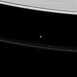 NASA's Cassini spacecraft captured this view on Apr. 8, 2008, showing two of Saturn's moons, Daphnis and Prometheus, and their gravitational effects on nearby rings.