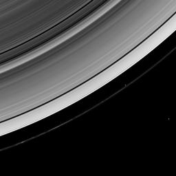 NASA's Cassini spacecraft looks down from a high-inclination orbit to spot two of Saturn's ring moons, Prometheus and Janus.