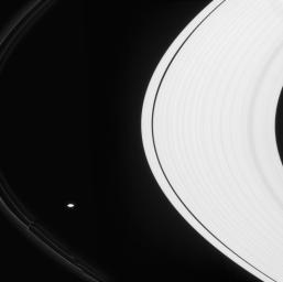 On Apr. 22, 2008, NASA's Cassini spacecraft captured Saturn's moon, Prometheus, tugging icy particles from the F ring into fanciful shapes like ropes of glowing neon.