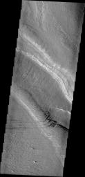 This image from NASA's Mars Odyssey spacecraft shows Gordii Dorsum, part of the large Medusa Fossae Formation of wind eroded materials south and southwest of Olympus Mons. 