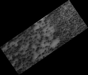 Science in Motion: Isolated Araneiform Topography
