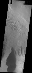 This image from NASA's Mars Odyssey shows a portion of Candor Chasma on Mars, including unusual dark markings on part of the canyon wall.