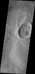 This image from NASA's Mars Odyssey shows winds in this region on Mars sculpting and removing poorly cemented materials.