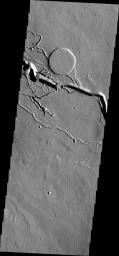 This image from NASA's Mars Odyssey shows a complex of channels, part of Iberus Vallis, a lava channel system in the Elysium Volcanic complex.