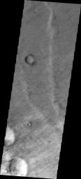 This image from NASA's Mars Odyssey shows a small portion of the floor of Proctor Crater. The part of the crater floor is host to hundreds of dust devil tracks.