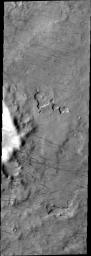 This image from NASA's Mars Odyssey shows dust devil tracks located in the south polar region, just east of Daly Crater.