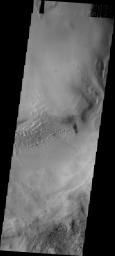 This image from NASA's Mars Odyssey shows a portion of the floor and inner 'moat' of Hooke crater on Mars. The dunes are climbing up the inner wall of the 'moat.'