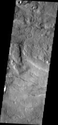This image from NASA's Mars Odyssey shows small bright dunes present in almost every depression and channel bottom on Mars. These dunes look like tank treads rolling up channel floors. The dunes here are in the depressions of Melas Fossae.