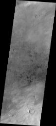 This image from NASA's Mars Odyssey shows individual, dark dunes located on the plains to the west of Hellas Basin. Other wind derived features are visible at the bottom of the frame.