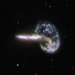 Arp 148 is nicknamed 'Mayall's object' and is located in the constellation of Ursa Major, the Great Bear, about 500 million light-years away. This image is part of a large collection of images of merging galaxies taken by NASA's Hubble Space Telescope.