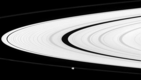 Saturn's narrow F ring partly obscures the small moon Epimetheus. Interior to the F ring is the bright A ring in this image captured by NASA's Cassini spacecraft on June 11, 2008.