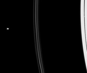 Two ring moons, Daphnis and Pandora, sweep through this scene focused on Saturn's intriguing F ring in this image captured by NASA's Cassini spacecraft on July 5, 2008.