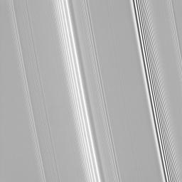 Many features in Saturn's rings are thought to be induced by the gravity of the planet's moons in this image captured by NASA's Cassini spacecraft on Sept. 25, 2008.