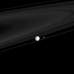 Two of Saturn's moons that have profound impacts on the rings, Mimas and Prometheus, are seen here with the F ring. This image was captured by NASA's Cassini spacecraft.