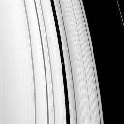 Pan orbits in the Encke gap near the middle of this image taken by NASA's Cassini spacecraft on Nov. 5, 2008. Also visible is one of the three dusty ringlets that reside in the Encke gap.