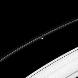 Prometheus is caught here by NASA's Cassini spacecraft casting a shadow on the F ring. To the right, the F ring also shows a gore where Prometheus recently entered into the ring, scattering material out of its way.