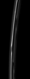 Set starkly against the blackness of space are Saturn's F ring's delicate strands which are periodically gored by its shepherding moon, Prometheus, in this image from NASA's Cassini spacecraft taken on Jan. 11, 2009.