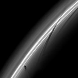 NASA's Cassini spacecraft snapped this image of Saturn's Prometheus and its shadow, just as the moon was creating a new streamer in the ring. This image was taken on Jan. 14, 2009.