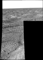 NASA's Phoenix Mars Lander shows the vast plains of the northern polar region of Mars. The flat landscape is strewn with tiny pebbles and shows polygonal cracking, a pattern seen widely in Martian high latitudes.