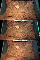 NASA's Phoenix Mars Lander shows 3 images of a handful of martian soil the robotic arm scoop dug from the digging site informally called 'Knave of Hearts,' from the trench informally called 'Dodo' on June 1, 2008.
