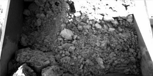 This sample of Martian soil was collected by NASA's Phoenix Mars Lander during the day after landing on June 8, 2008. The Robotic Arm Camera took the picture of the contents of the arm's scoop.